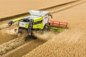 Nowoczesny kombajn marki Claas na gąsienicach pracujący na polu zboża podczas żniw